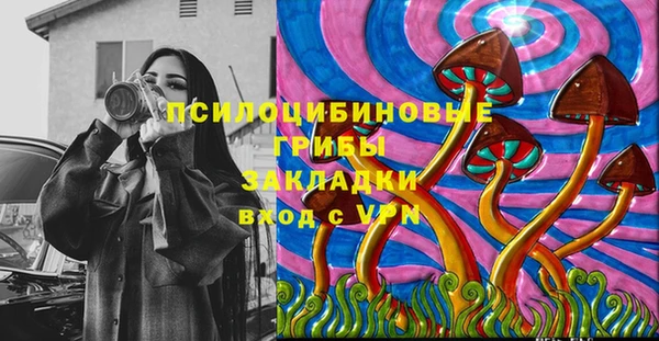 хмурый Армянск