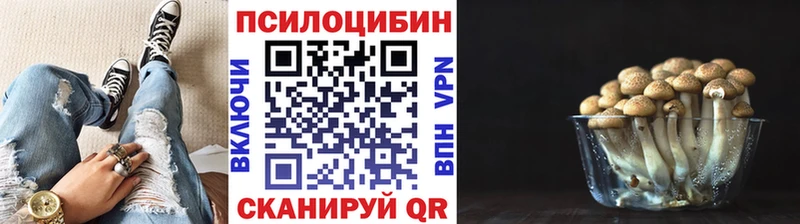нарко площадка как зайти  Гремячинск  ОМГ ОМГ вход  Псилоцибиновые грибы GOLDEN TEACHER  наркотики 