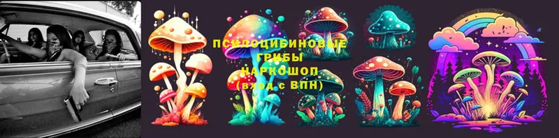 Галлюциногенные грибы Cubensis  omg ССЫЛКА  Гремячинск 